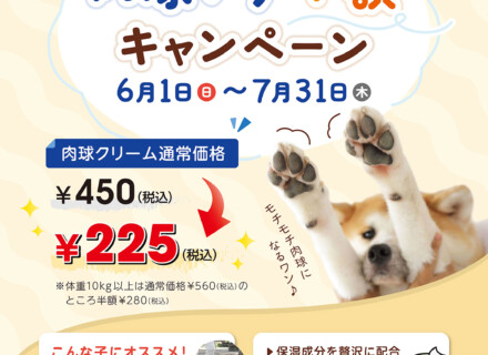 肉球ケア半額キャンペーン
