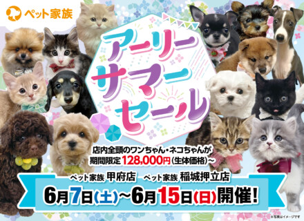 アーリーサマーセール開催！