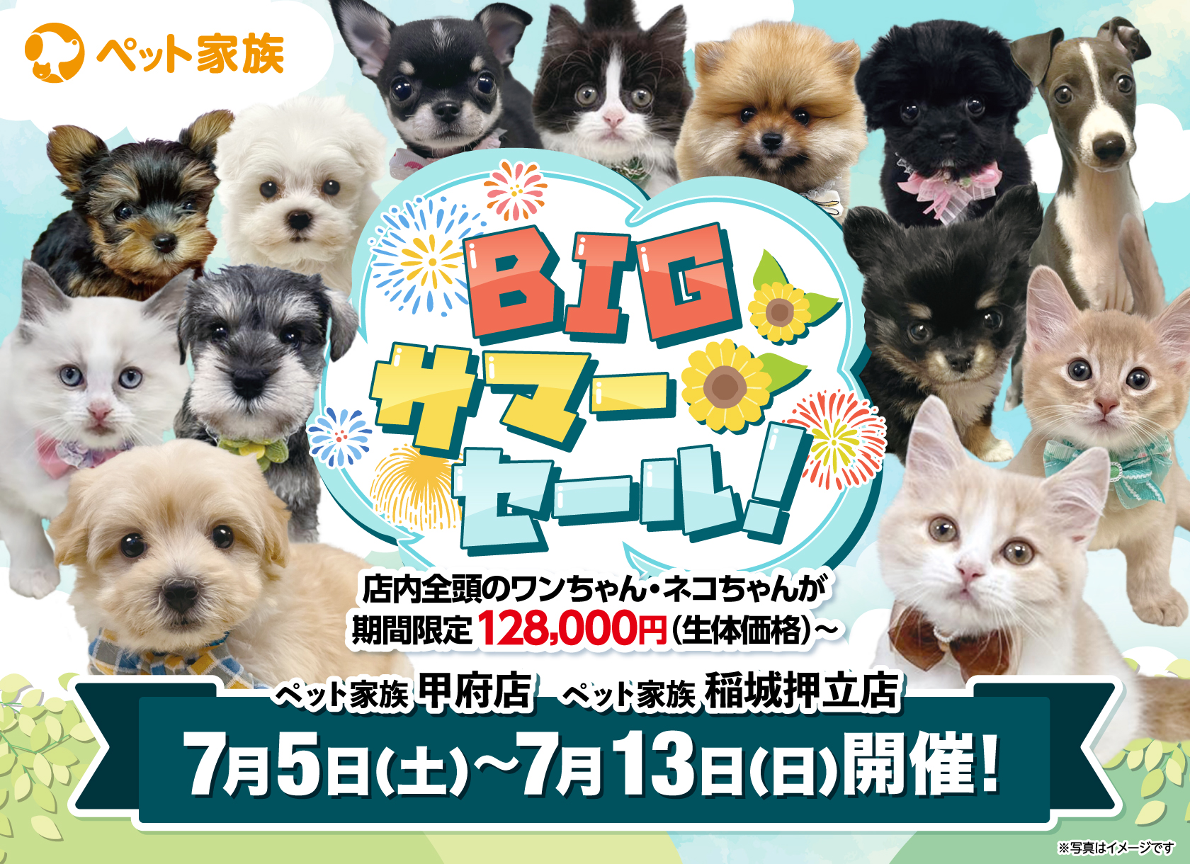BIGサマーセール開催！！