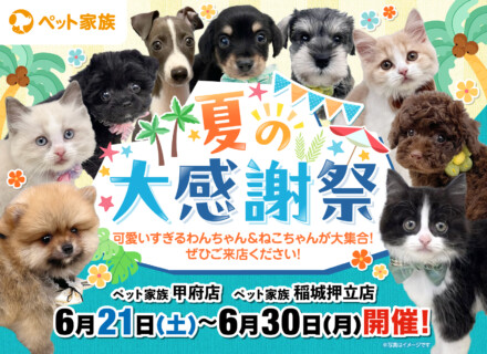 夏の大感謝祭開催！！