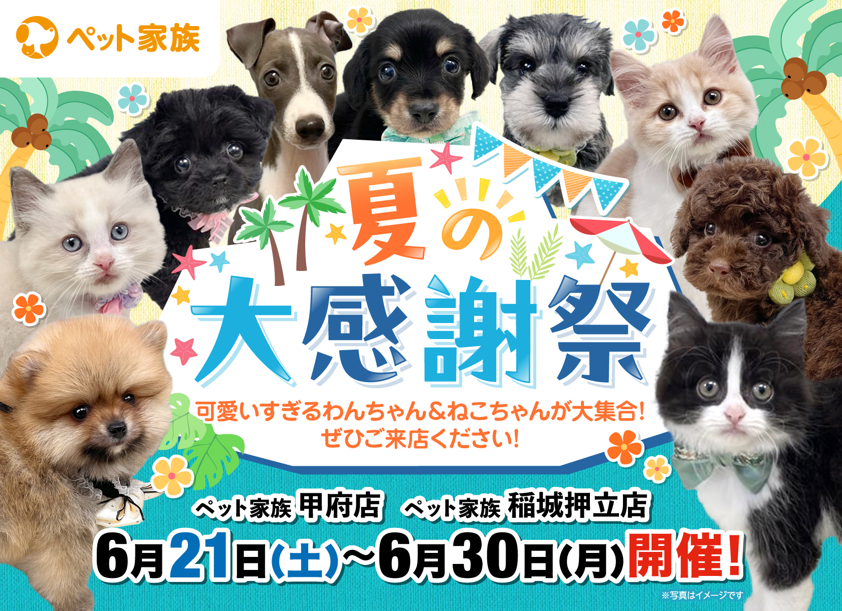 夏の大感謝祭開催！！
