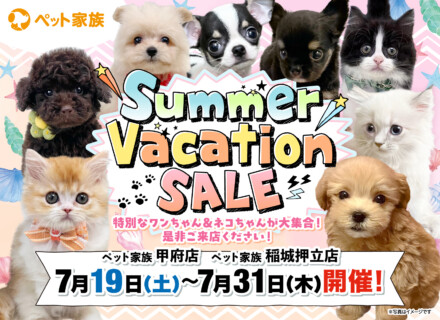 7月19日(土)～31日(木)まで「Summer Vacation SALE」を開催します！