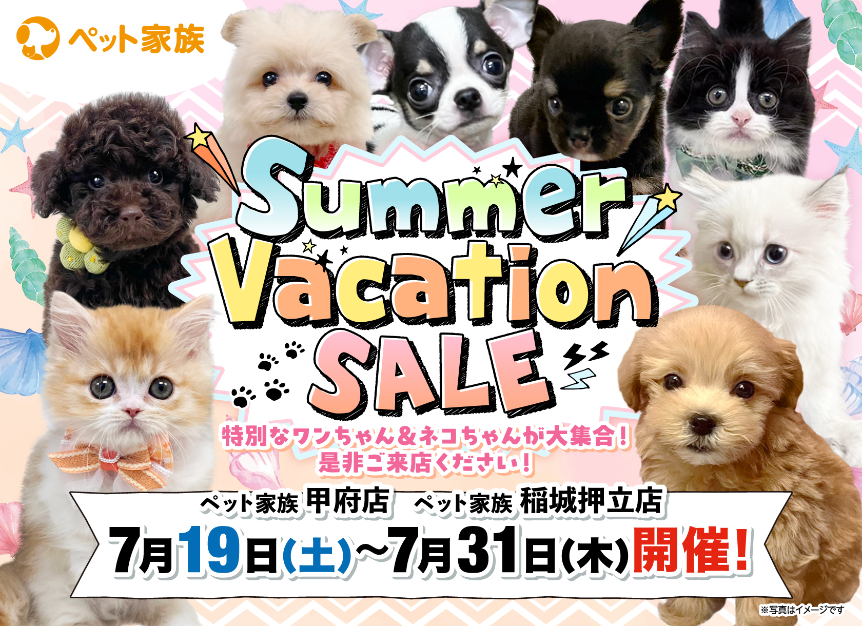 7月19日(土)～7月31日(木)までSummerVacationSALEを開催！！