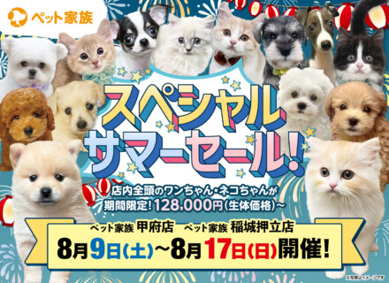 8月9日(土)～17日(日)まで「スペシャルサマーセール」を開催します！