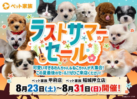 8月23日(土)～31日(日)まで「ラストサマーセール」開催！