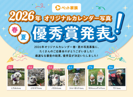 2026年オリジナルカレンダー写真　優秀賞発表！