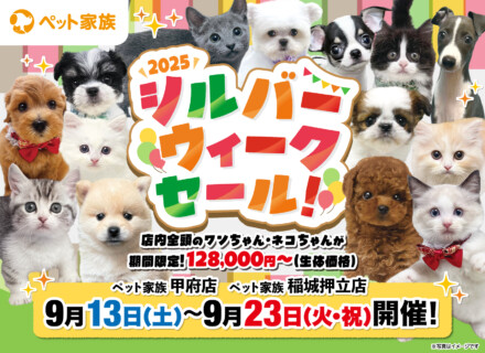 9月13日(土)～23日(火)まで「シルバーウィークセール」を開催！