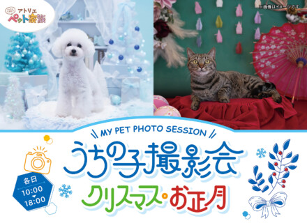 2025年うちの子撮影会「クリスマス・お正月」