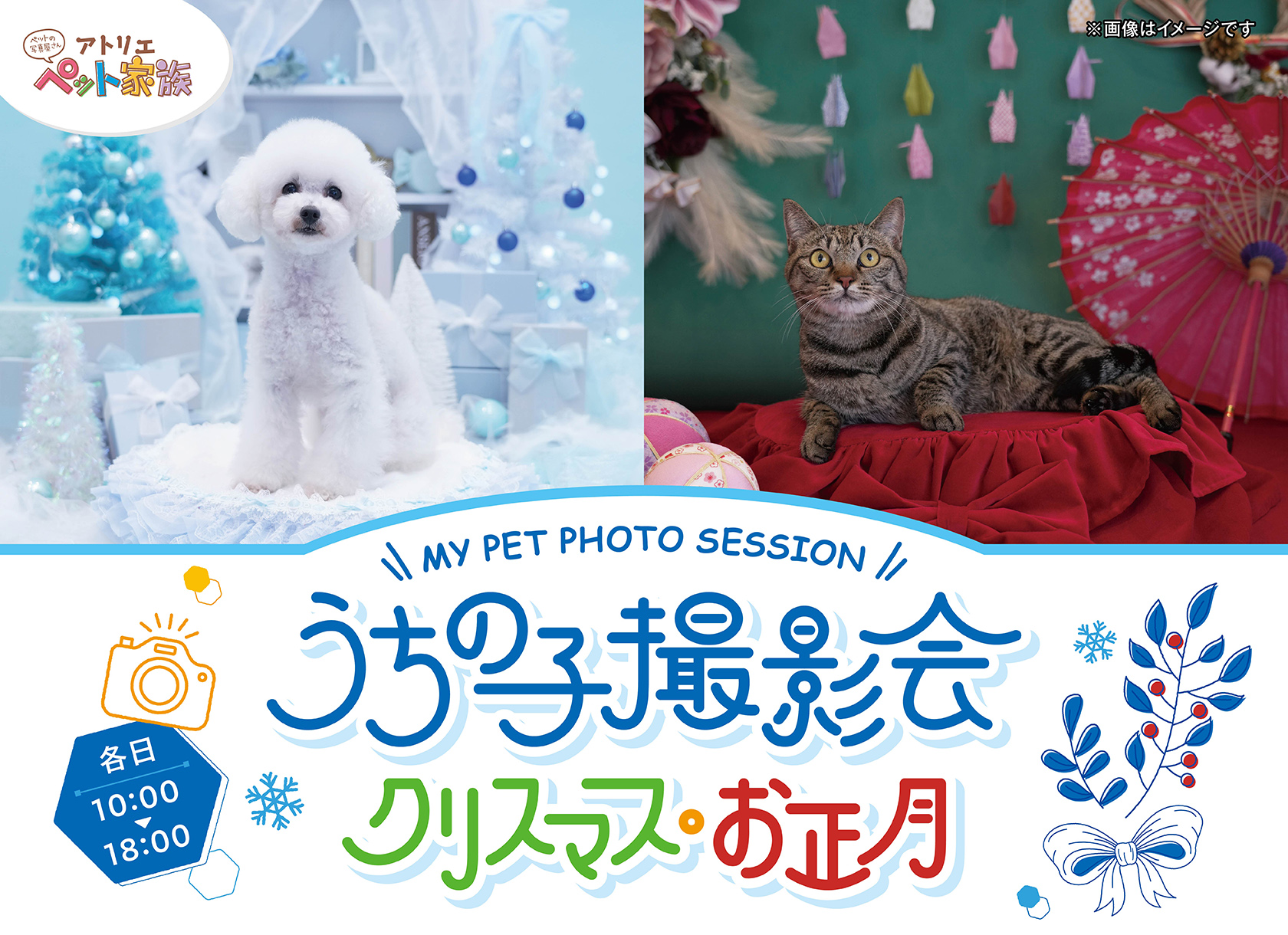 2025年うちの子撮影会「クリスマス・お正月」