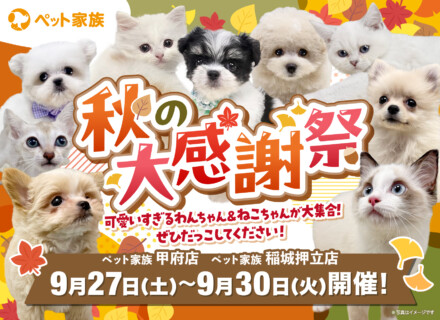 9月27日(土)～30日(火)まで「秋の大感謝祭」を開催！