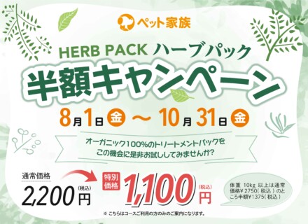 ハーブパック半額キャンペーン
