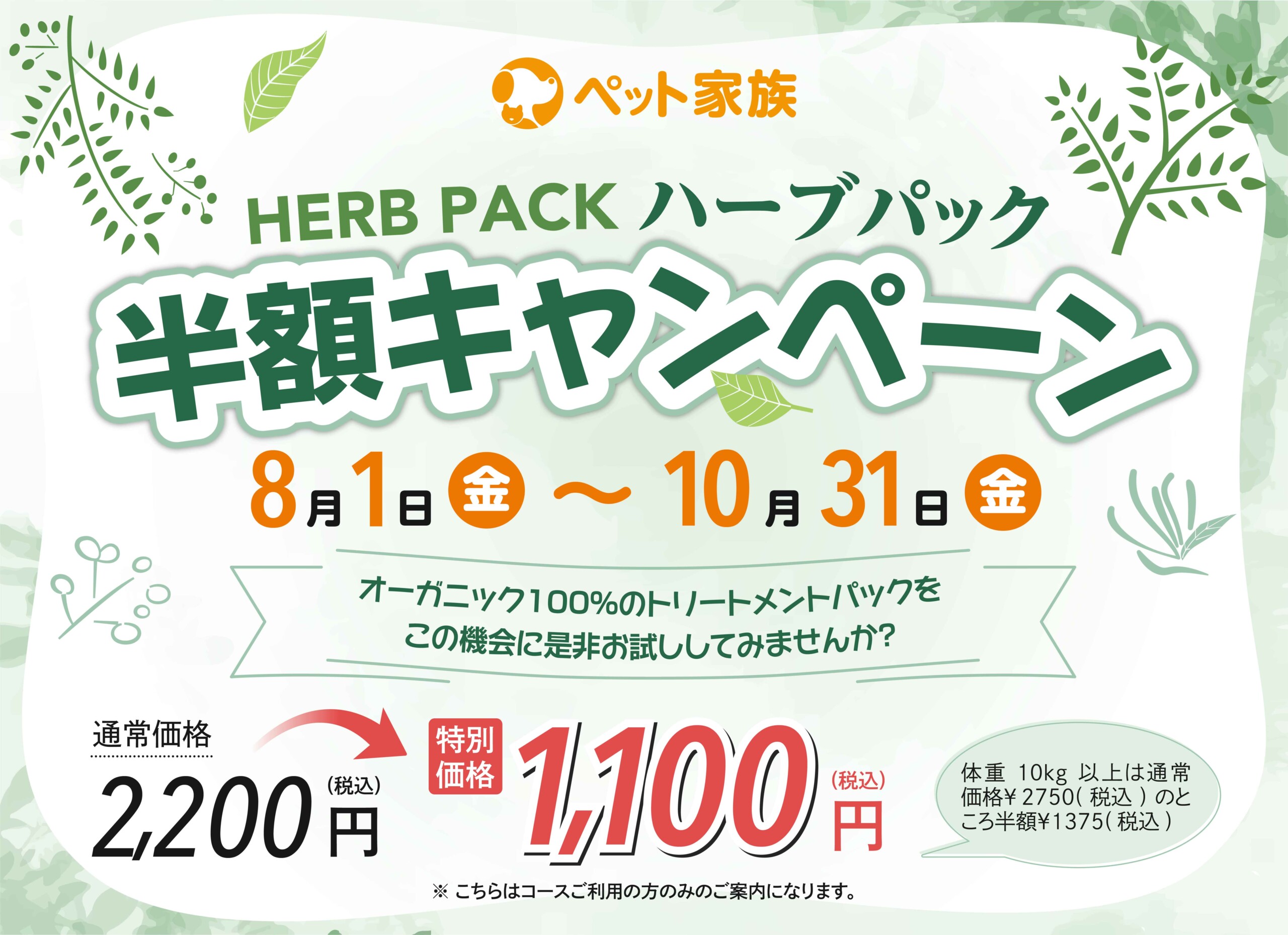 ハーブパック半額キャンペーン