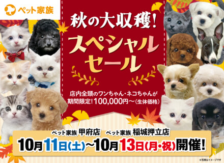 10月11日(土)～10月13日(月)まで秋の大収穫！スペシャルセールを開催！