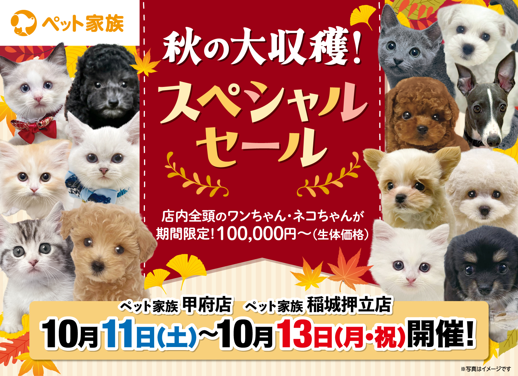 10月11日(土)～10月13日(月)まで秋の大収穫！スペシャルセールを開催！