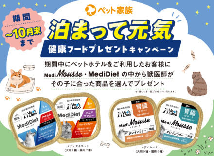 泊まって元気キャンペーン