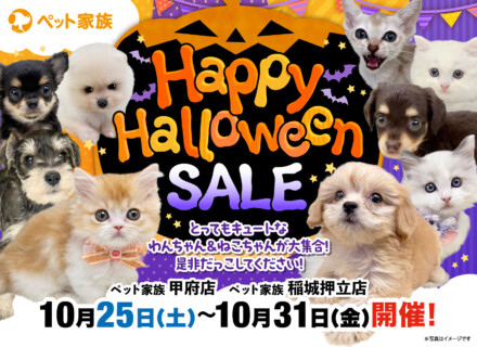 10月25日～31日までHappyHalloweenセール開催！