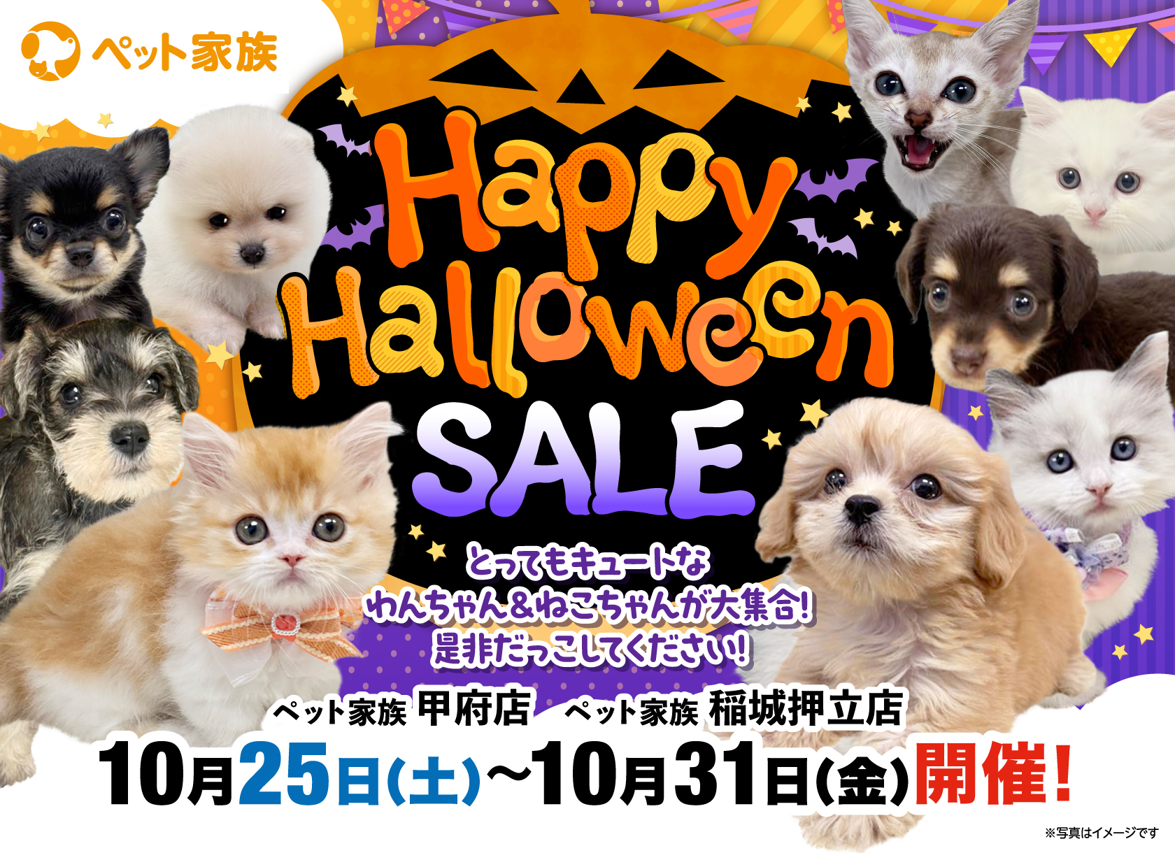 10月25日(土)～31日(金)までHappyHalloweenセール開催！