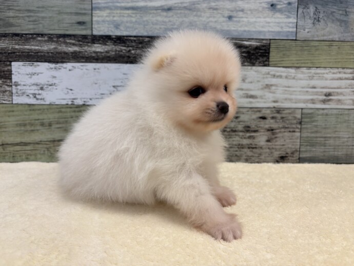 f48a676c28403ec3b0d23aa01bf0d7