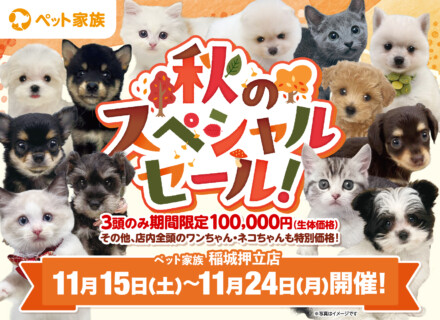 稲城押立店　秋のスペシャルセール開催！