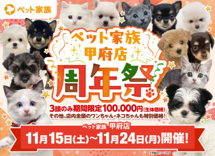 11月15日(土)～24日(祝月)「周年祭」開催！！