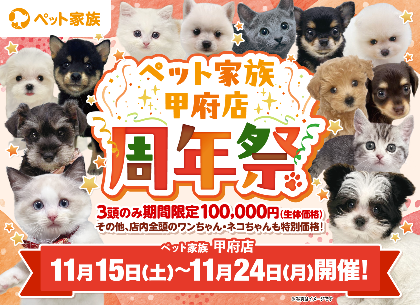 11月15日(土)～24日(祝月)「周年祭」開催！！