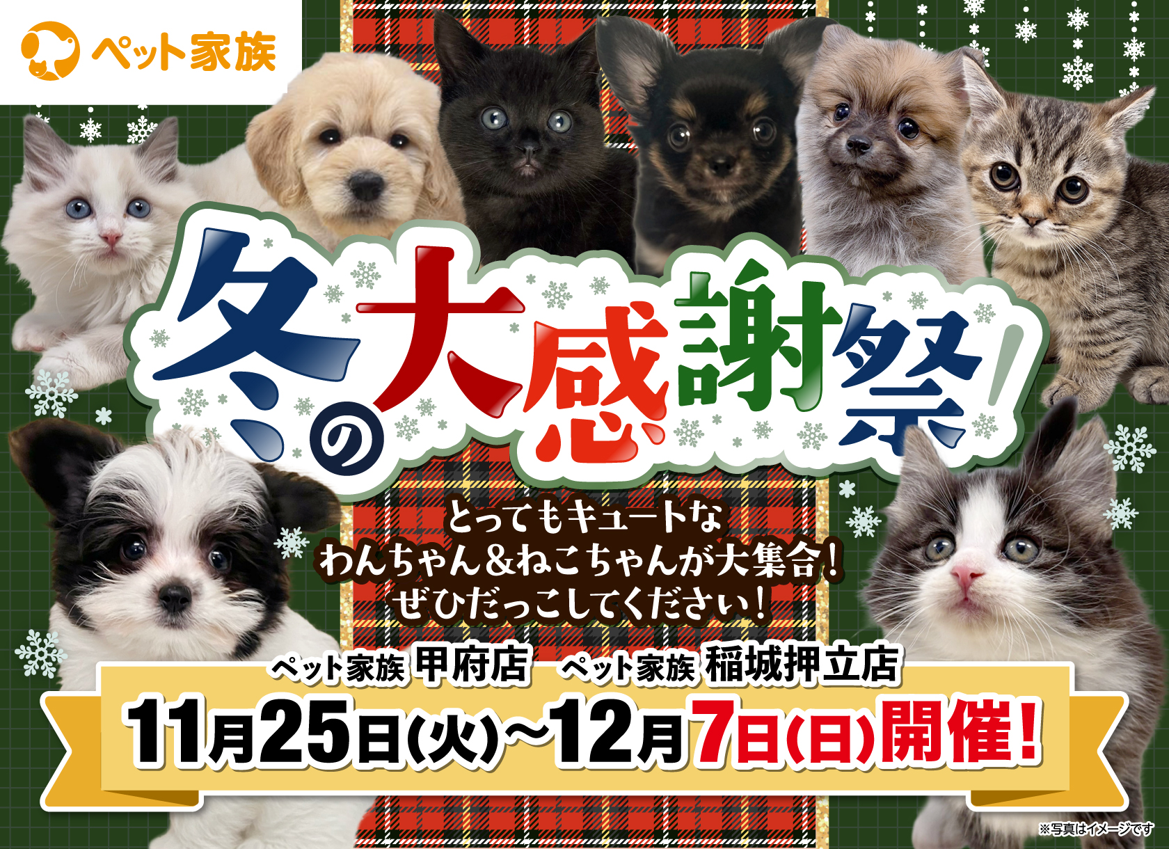 11月25日(火)～12月7日(日)「冬の大感謝祭」開催！