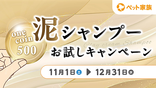 泥シャンプーお試しキャンペーン