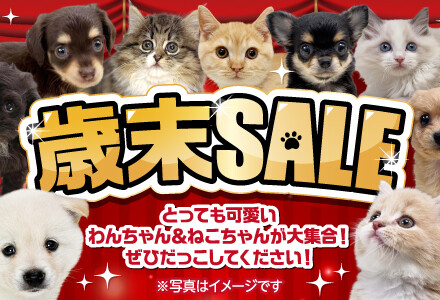 12月26日(金)～31日(土)「歳末SALE」開催！