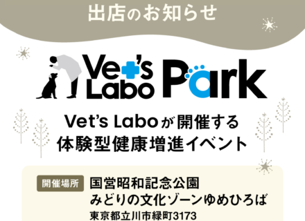 Sippo Festa 2025に出展いたします！