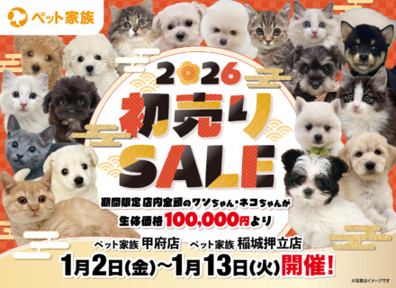 初売りセール開催