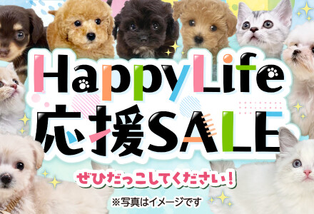 1月24日(土)～2月1日(日)まで「HappyLife応援SALE」を開催！