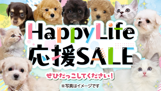 1月24日(土)～2月1日(日)「HappyLife応援SALE」開催！