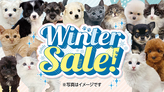 2月7日(土)～15日(日)「WinterSale」を開催！