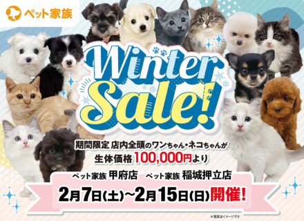 2月7日(土)～15日(日)まで「WinterSale」を開催！
