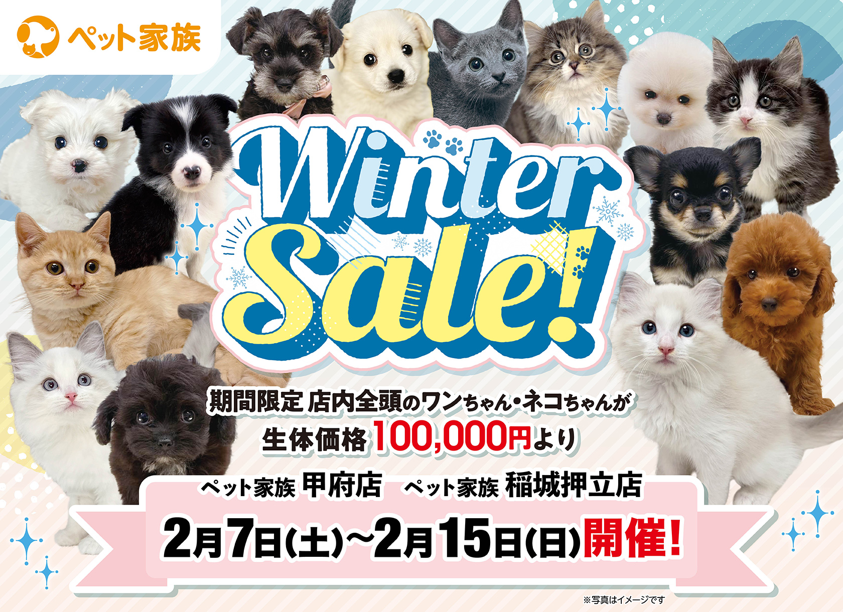 2月7日(土)～15日(日)まで「WinterSale」を開催！