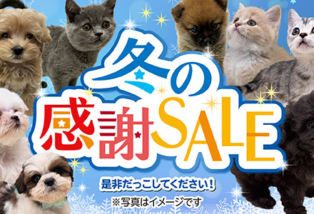 2月21日(土)～3月1日(日)「冬の感謝SALE」を開催！