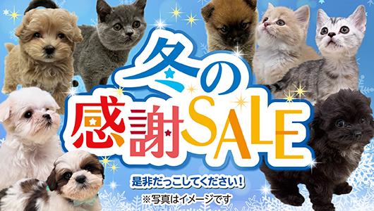 2月21日(土)～3月1日(日)「冬の感謝SALE」を開催！