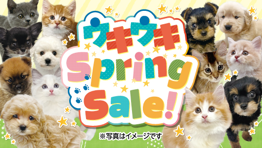 3月7日(土)～3月15日(日)「ウキウキSpringSALE」を開催！