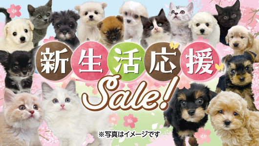 4月11日(土)～4月19日(日)「新生活応援SALE」を開催！