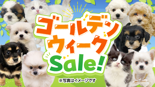 4月25日(土)～5月10日(日)「ゴールデンウイークSALE」を開催！