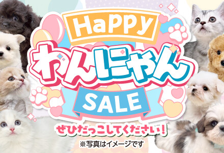 Happyわんにゃんsale開催！