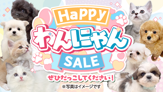 3月20日(金)～3月31日(火)「HappyわんにゃんSALE」を開催！