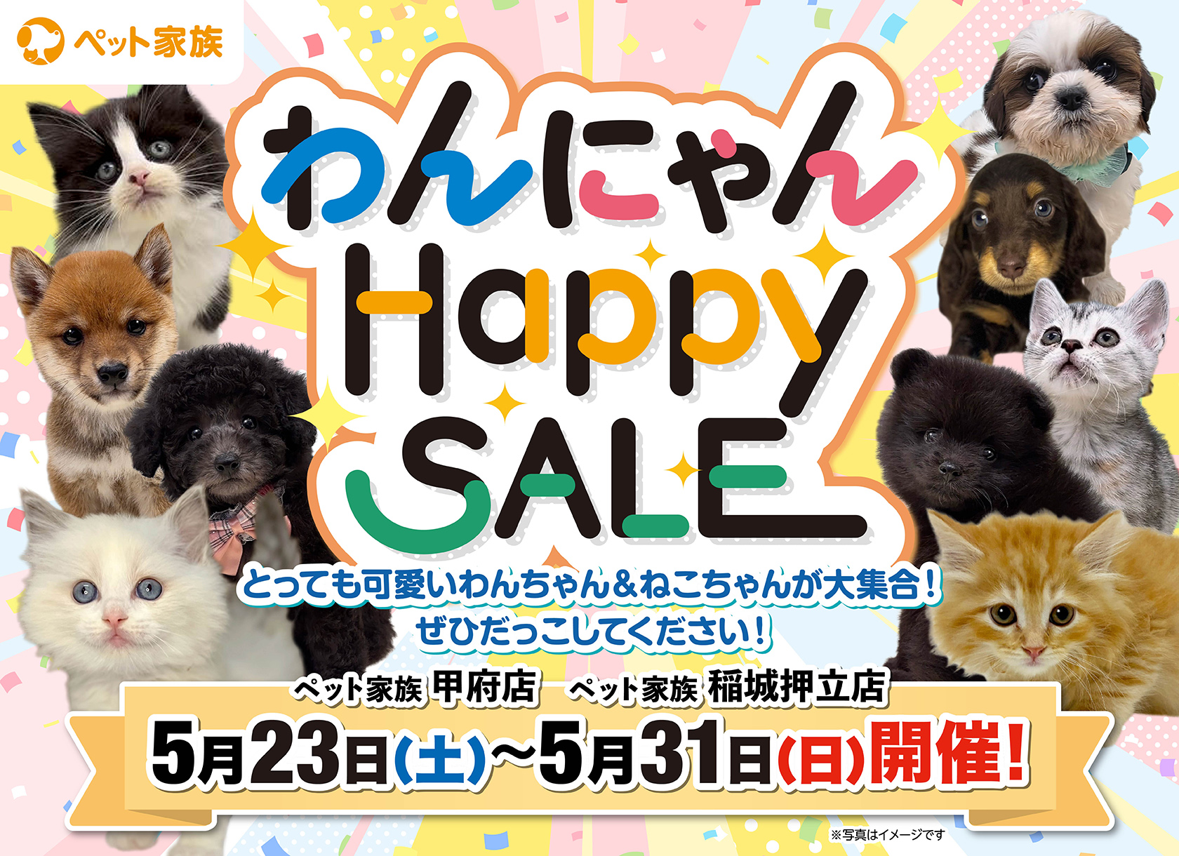 わんにゃんHappySALE開催！！