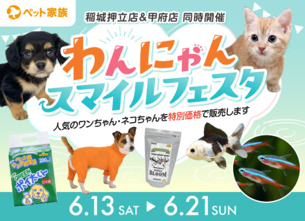 6月13日(土)〜6月21日(日) 『わんにゃんスマイルフェスタ』を開催！