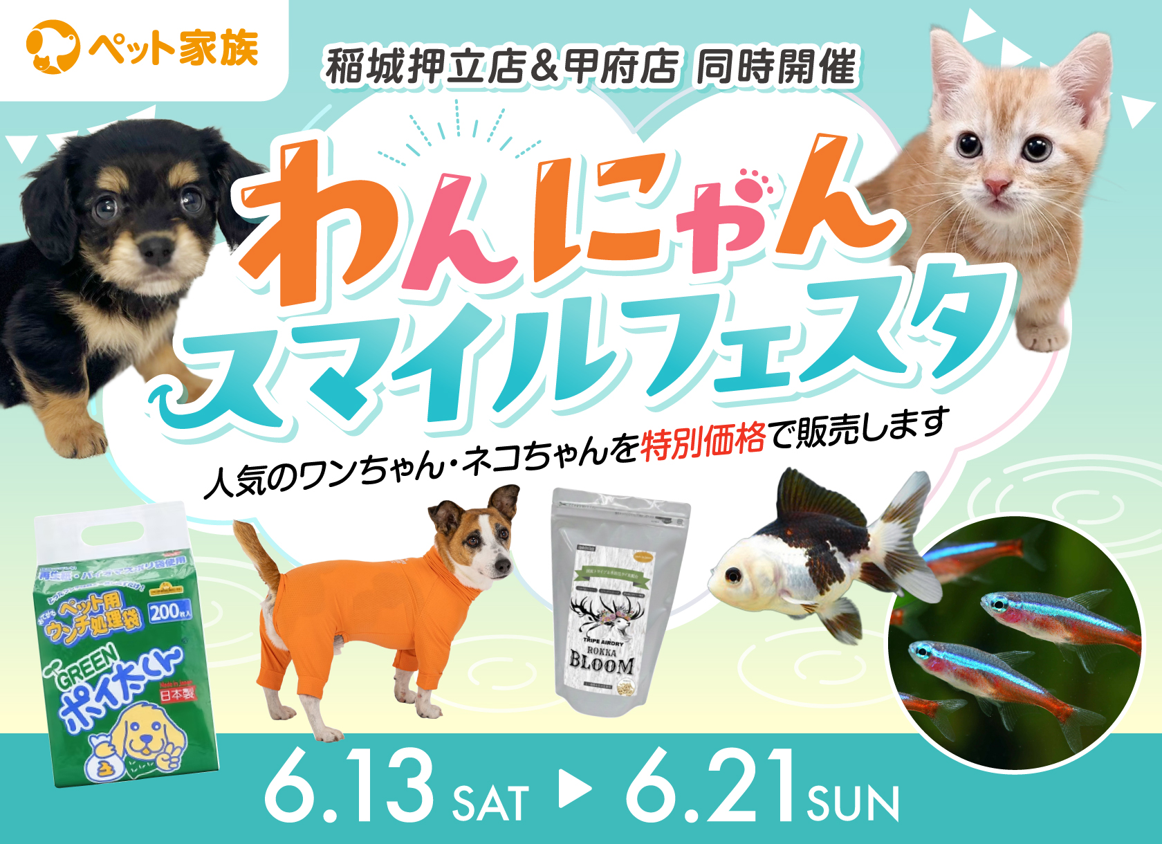 6月13日(土)〜6月21日(日) 『わんにゃんスマイルフェスタ』を開催！