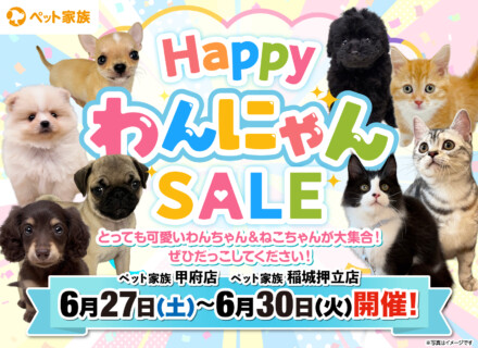 6月27日(土)～30日(火)に「HappyわんにゃんSALE」を開催！