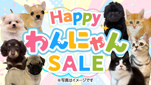 6月27日(土)〜6月30日(火) 『HappyわんにゃんSALE』を開催！