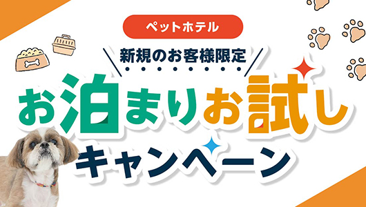 ペットホテルお泊りお試しキャンペーン