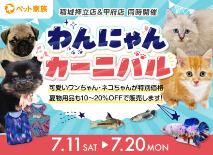 7月11日(土)〜7月20日(月) 『わんにゃんカーニバル』を開催！