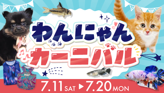 7月11日(土)〜7月20日(月) 『わんにゃんカーニバル』を開催！